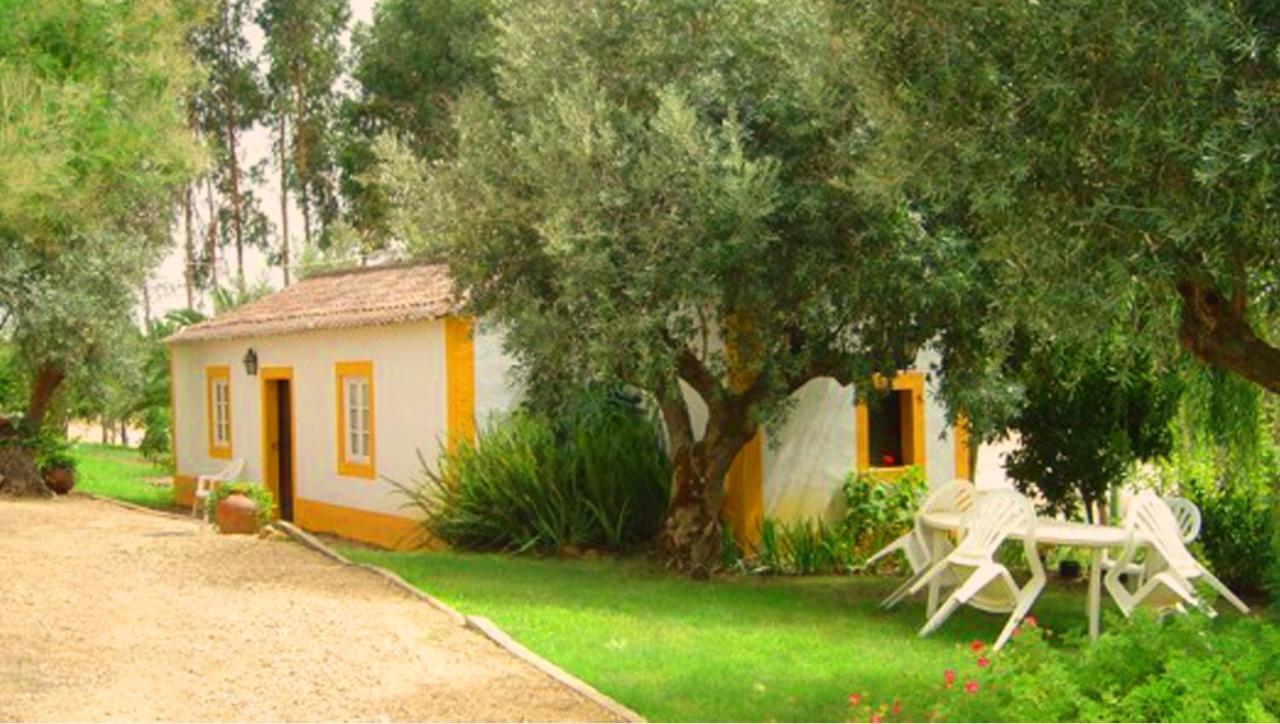 Quinta Do Pinhal Villa Constância Eksteriør billede